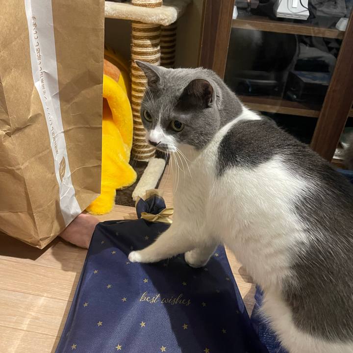 A04bec92 84d9 45e3 bc4d 53883db46e1d 1703157658760