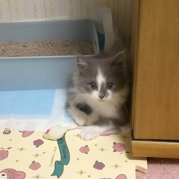 A04c2038 6f85 4b27 809b 39e307895395 1560043844515