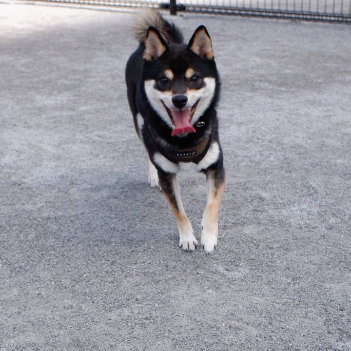 A04c573b 18e1 41c3 8190 cc4ca32c59d9 1616028001811