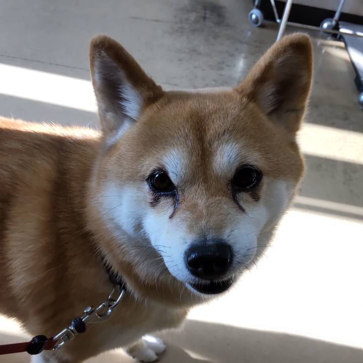 A04c58ac f876 4a07 89b6 d629bc266156 1744794971625