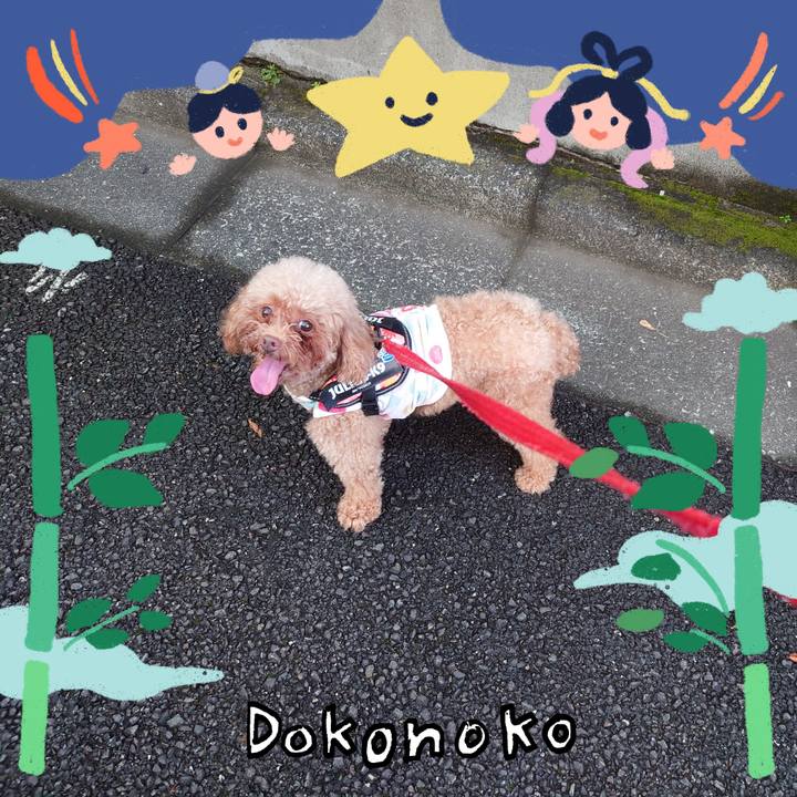 A04c991e 044c 4ff2 aae9 082c5da17eab 1720945539546