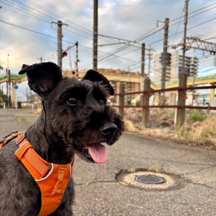 A04cae38 eb09 4a4d 9ede 640d65654c89 1758409077236