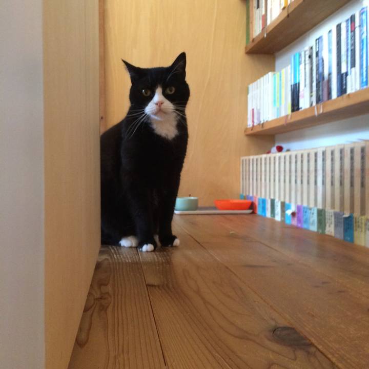 A04cc1ec 1076 467f b366 5fe3fa7f6573 1526339299335