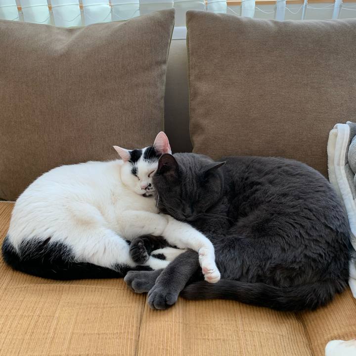 A04cce5d ff94 4601 a5d8 099c2e8cd81c 1575081397083