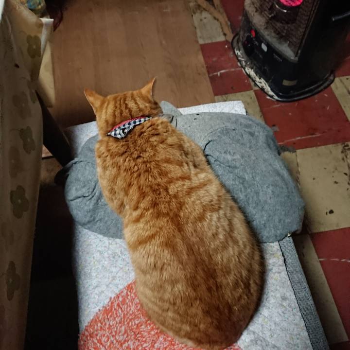 A04d18bb 2baa 4fd8 a52b 05089b89cb92 1575322810983