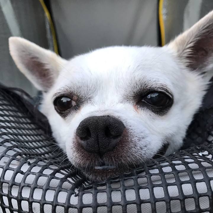 A04d50a3 c0d5 4721 9978 8a7485855613 1665446134221