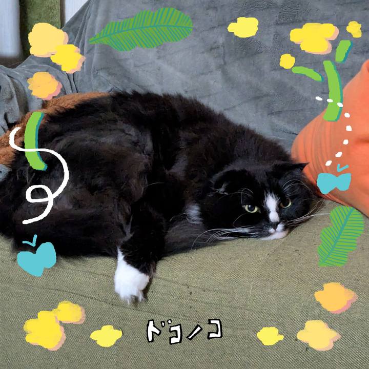 A04d6d49 56f7 46c9 95a4 ca7a17e1ad4f 1744546026485