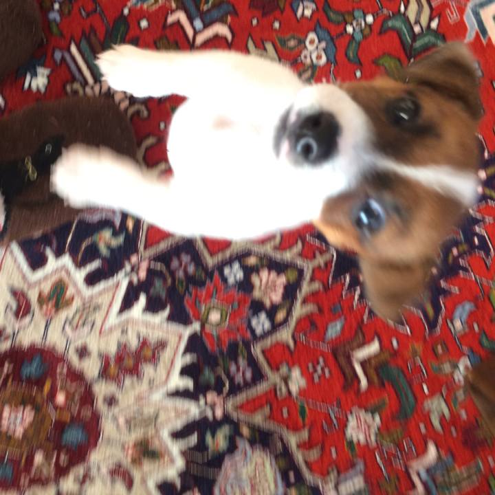 A04d6f1a 700f 45c5 a469 4b0c552abff3 1509923565969