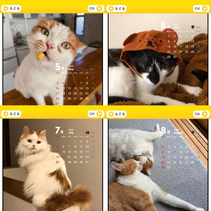 A04d7e75 abf2 44ab 9b0d 0d448198797d 1763934464876