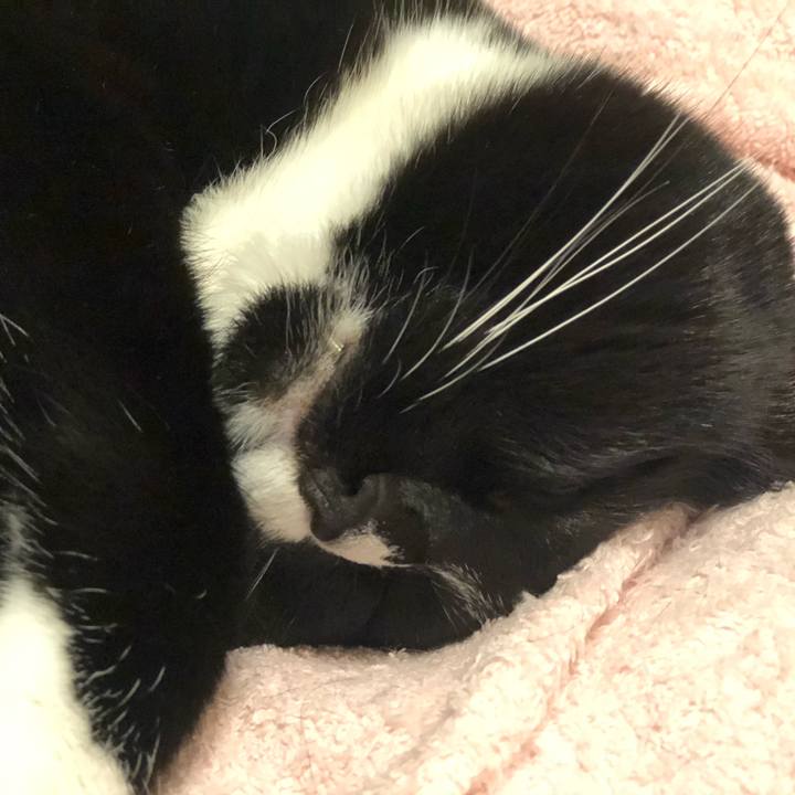 A04d8031 9968 4e2c 8888 afbd02260018 1589413357060