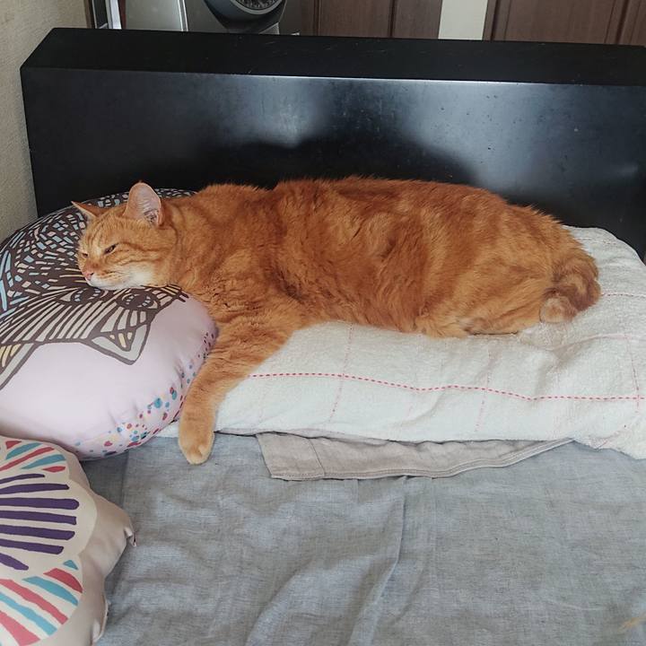 A04dad05 a082 4fb7 9913 71f6ae215c3a 1691107843200