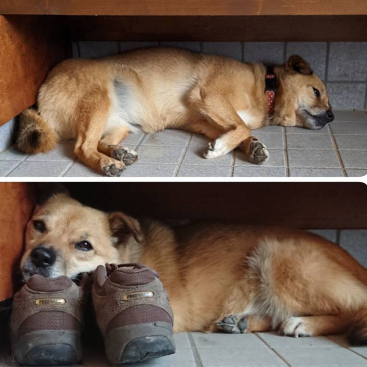 A04dafc4 c84c 4e3d 953a a16faba46781 1659187009886