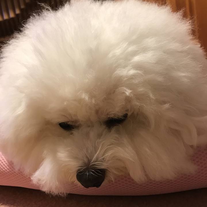 A04e347d e016 448c bca3 ef68377d7935 1534167241297