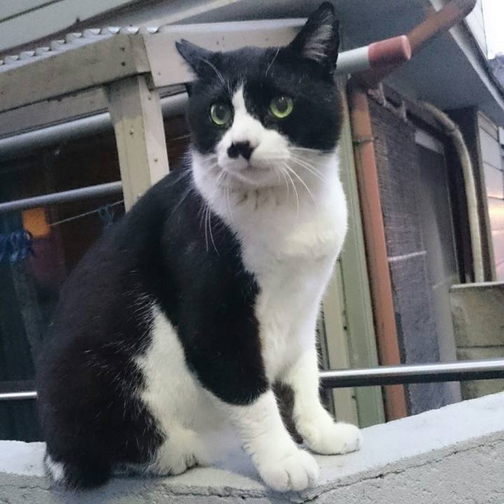 A04e4326 ac38 43ac 844e 741ecd1bcdbd 1524217175242