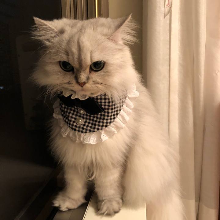 A04e43cb a3f1 4bd4 9cfb de7344195112 1540903198009