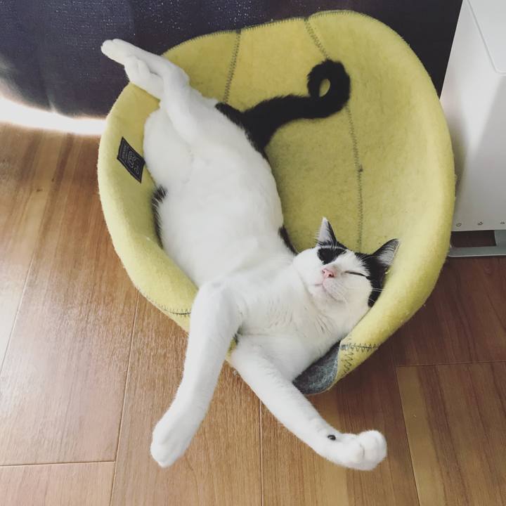 A04e7be7 dfc0 4b56 8c8e f121bccc0ceb 1533003757548