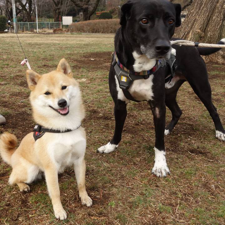 A04e7e49 ea98 4e74 bf69 3e45b0ff9141 1646268190409