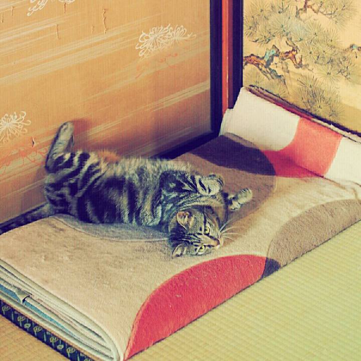 A04ec79d 5617 449d afc1 93cdd8651d1f 1534219073684