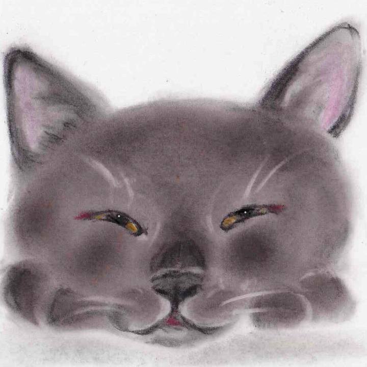 A04faa72 133c 4dac aaf3 056b4083dd1c 1651760957356