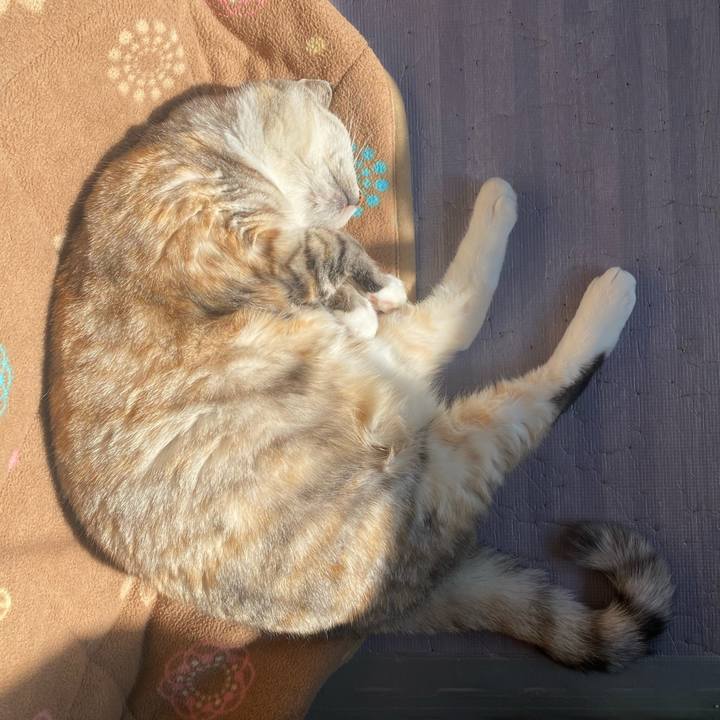 A04ffe96 ed5b 4e50 93ef 5a3b17f8bf66 1673149296199