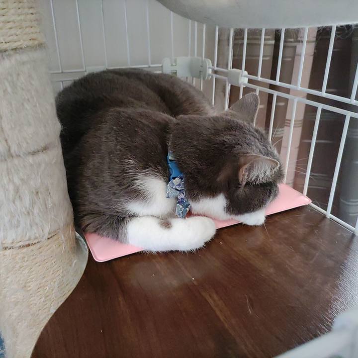 A05005c6 13ad 4079 8f9c 3a71dc0719e1 1678245737718