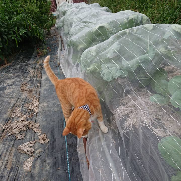 A0505073 2abe 4bac a166 4de88c594e76 1568793384143