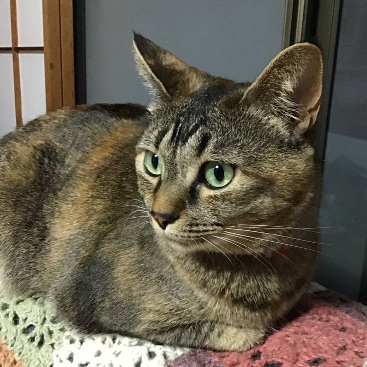 A0505633 7dbb 4ef4 aae8 afa889b5cdd1 1685271710752