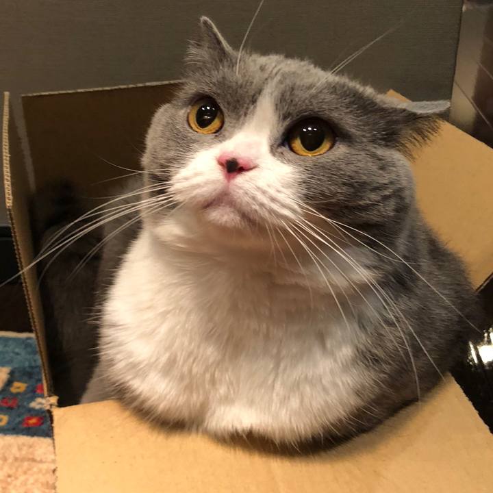 A05084d1 6b85 4d4c 845d 60434280193d 1526962150290