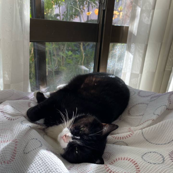 A050851e f654 49d4 b2cd f878c75cbb2b 1638177492207