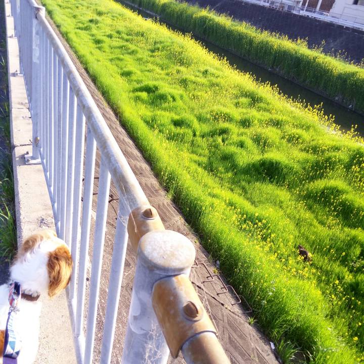 A050a023 e0bf 4308 818a 32bf723fb936 1522755989049