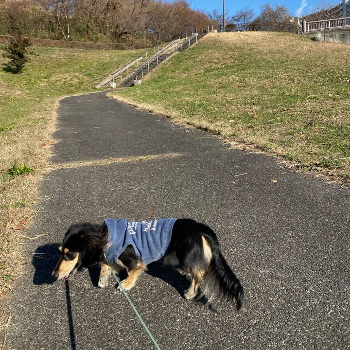 A050afe3 5f71 4ecd 9d74 aa634ae4ccfd 1703419552885