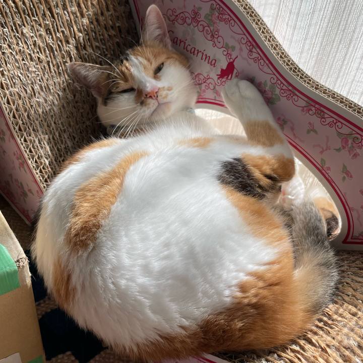 A050c7a2 5c37 4e64 9bbb 3de2dde5a521 1723700274018