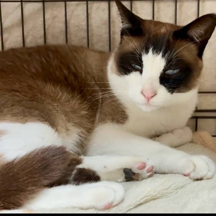 A0511b0b f0c1 414b ade7 e88dc6b1beaf 1748683250824