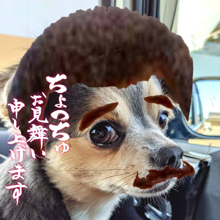 A05147c3 9f46 4542 a0ca 4df1ae156fbe 1657761491134