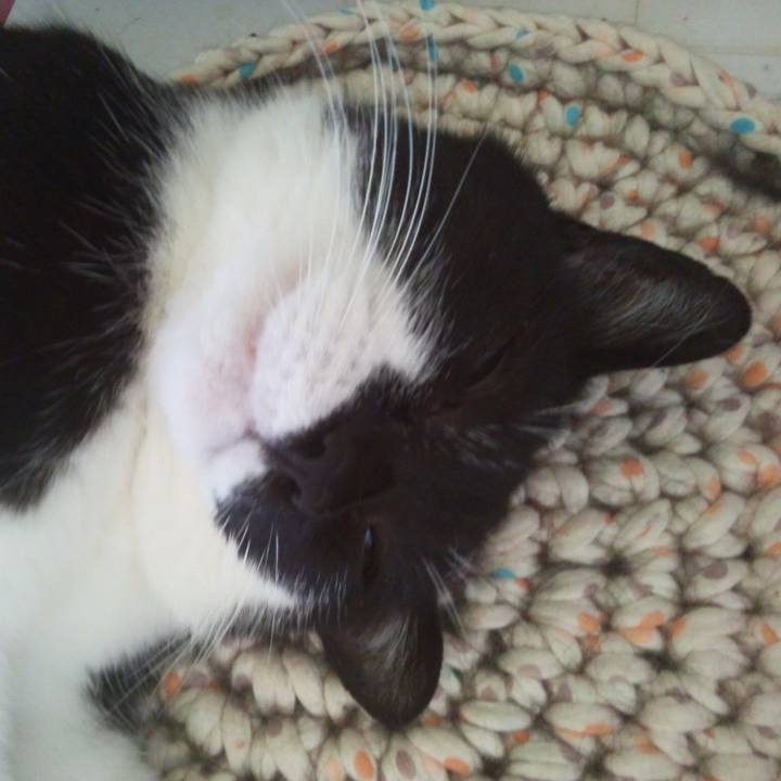 A0515e0b 086a 4fdb b6ef 7d27c0d4bf4c 1529739267476