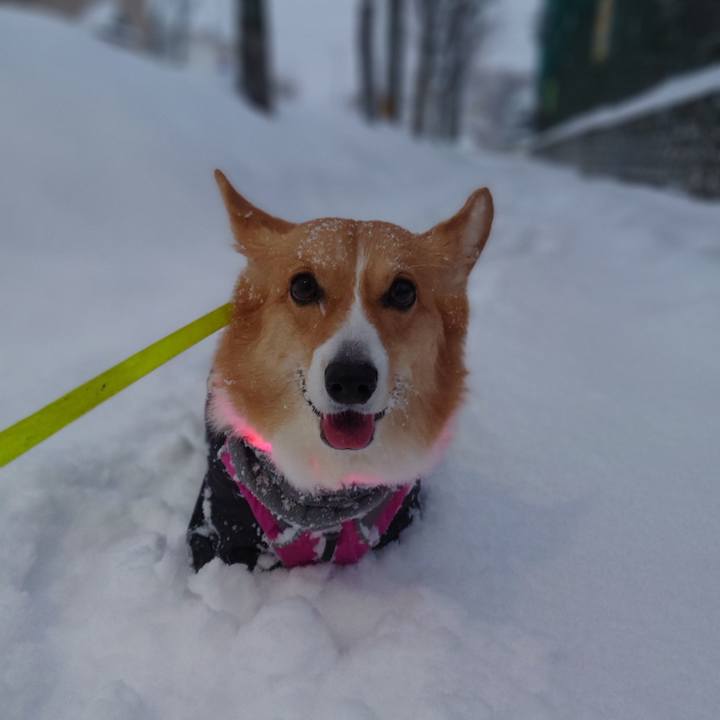 A051760b 5d58 4a48 8103 242a89b8f01f 1767829209430