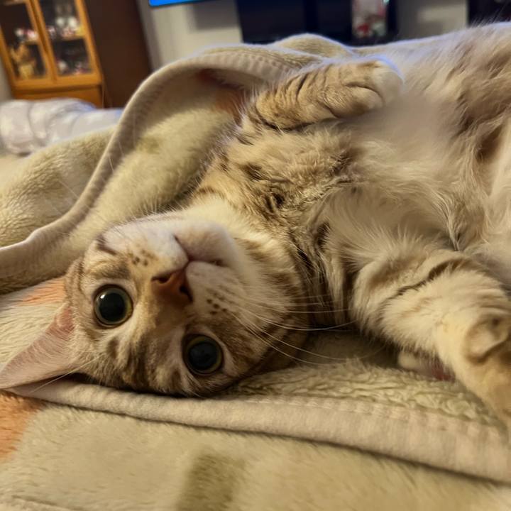 A0517e4a d14e 41d3 8f25 73add320de51 1681480259065