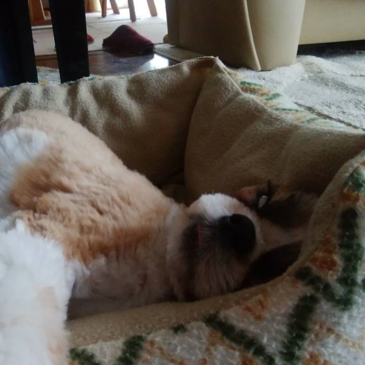 A051c851 c175 499f aabf 5c63e647a144 1562819314525