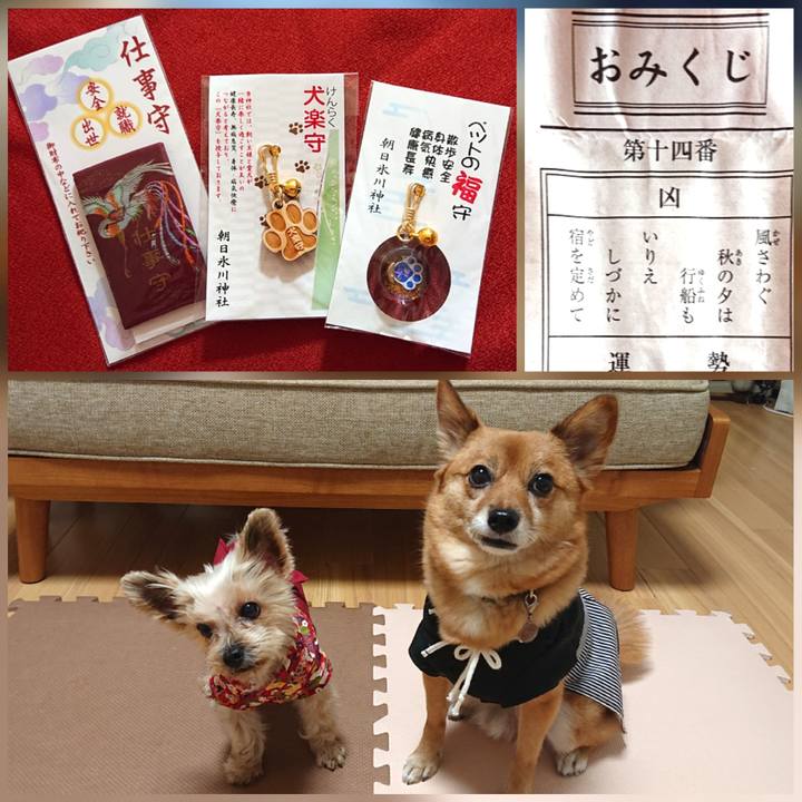 A051ec98 1566 4b61 8ffd 4eced9917112 1609582942043