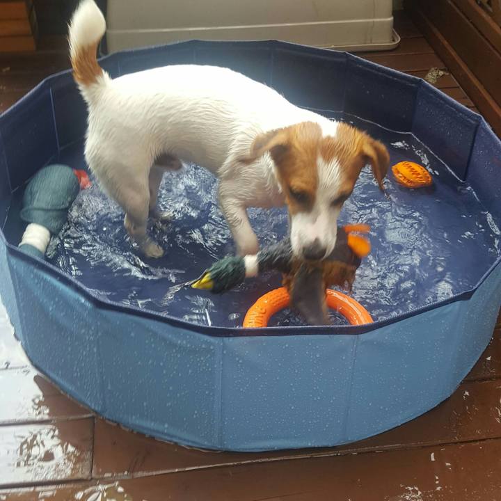 A0521043 6d26 41fe afc2 cdc7153b71db 1565496585377