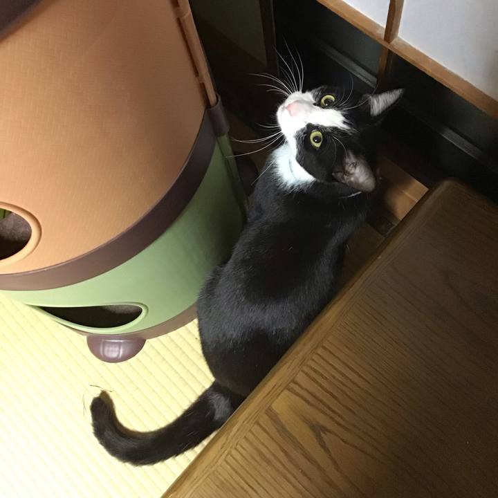 A0523690 7151 4771 8d47 8947f51a50a0 1683803325691