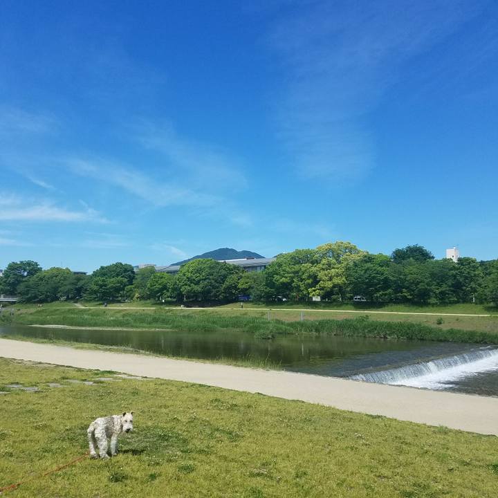 A0524d3b 3784 4c94 be0e d828a18b46af 1526822599131