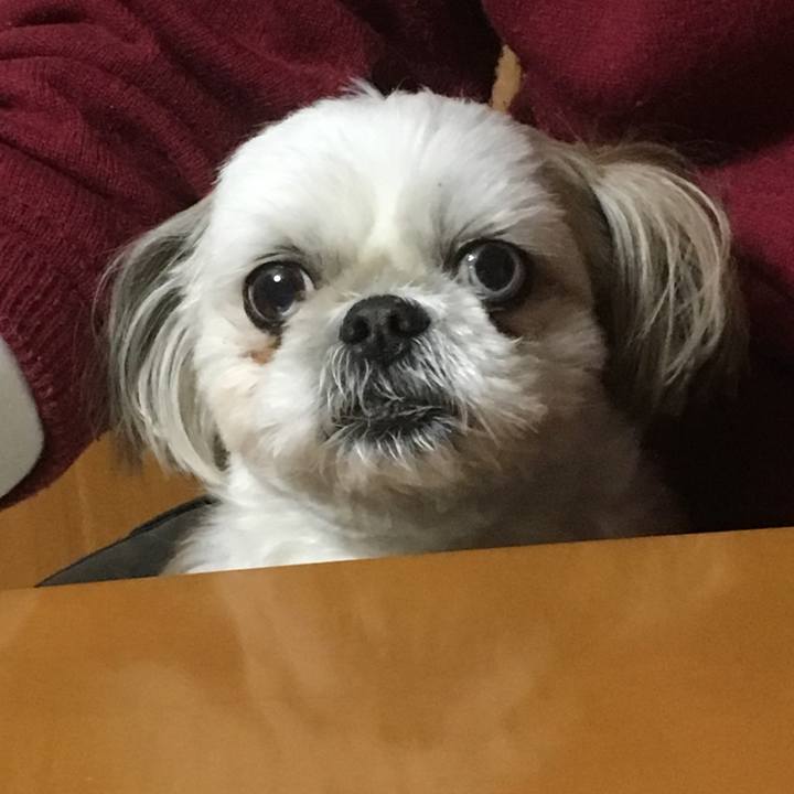 A05261fc fda9 4de4 ba85 a93ccc78d8d9 1518780465954