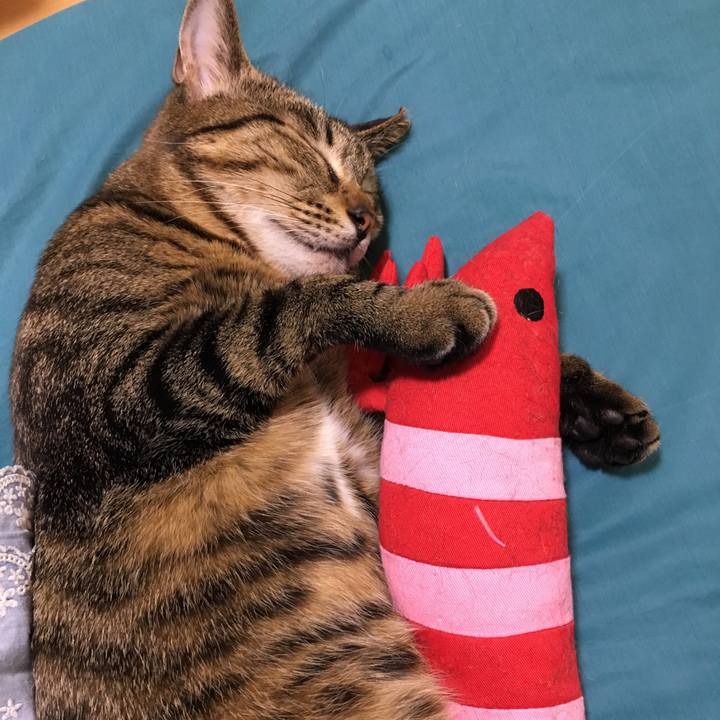 A0528a58 0121 4092 89d9 d8e21e9f7844 1522744604502