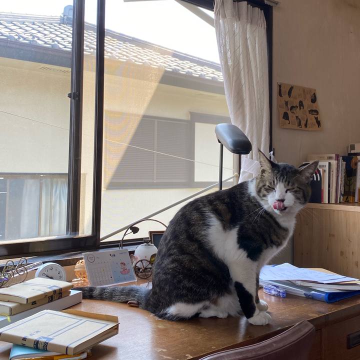 A052929e 0344 4f4f 819f cc62d1631634 1588383005114