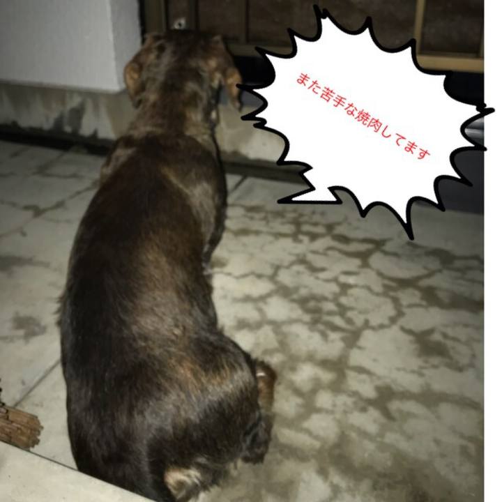 A052b0a7 22f2 4522 a2b0 f3be8e404b7e 1528630574855