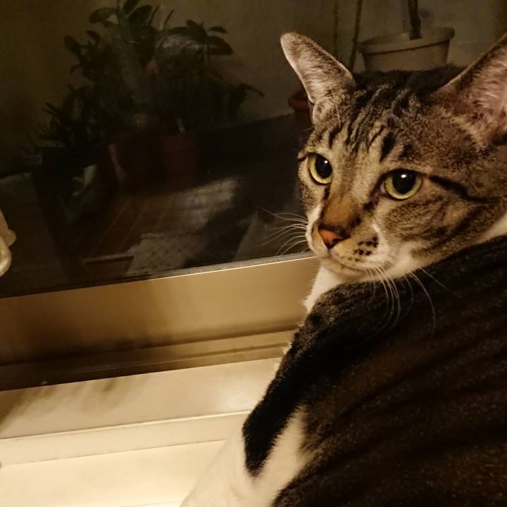 A052c286 b14d 4227 bafc 59537d9e526d 1538307236012