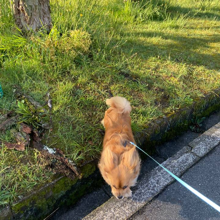 A05341e2 a645 4e13 8d1b bcf3d9b307ec 1588801648548