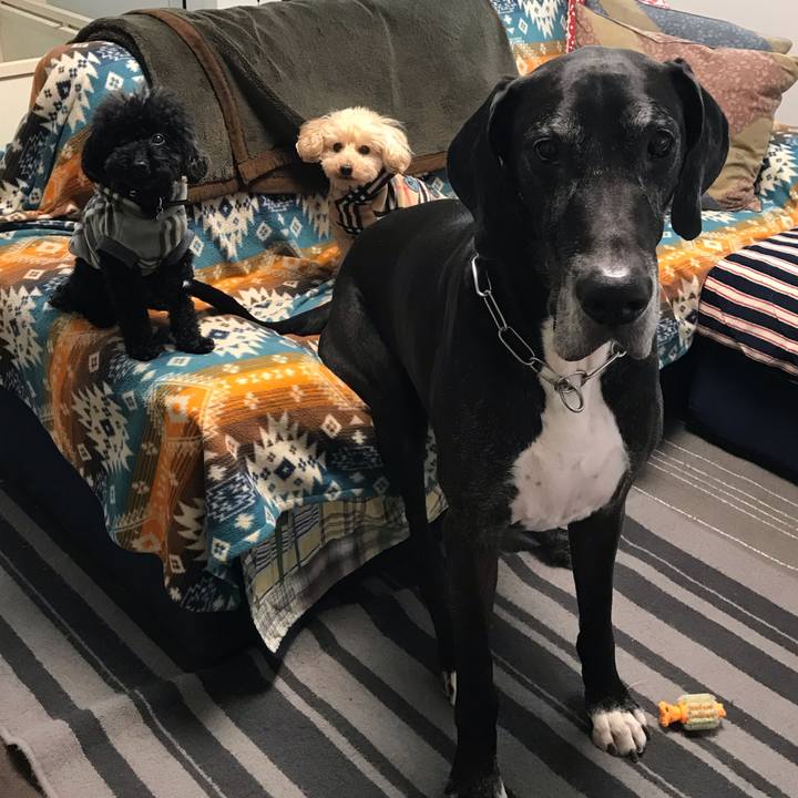 A0534a7b 1405 41fa 96b3 c3dc375a2671 1542062172077