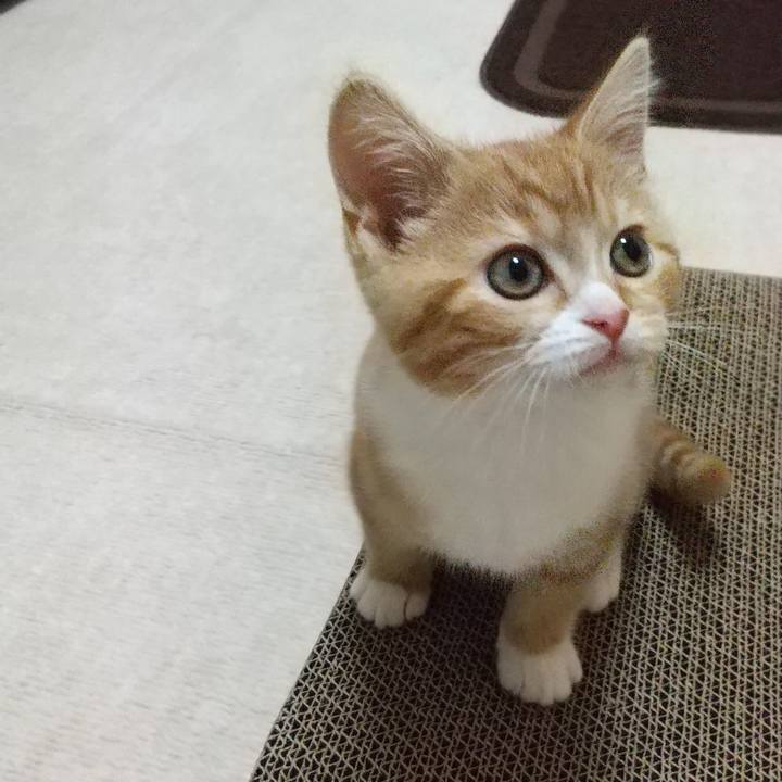 A0535a27 e73c 4aeb 8819 fbe2d5a064b3 1621942909072